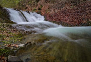 Bahar Dağı ormanında fırtınalı şelale