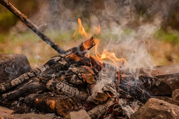 Dağ nehrinin kıyısında yakacak odun yangını