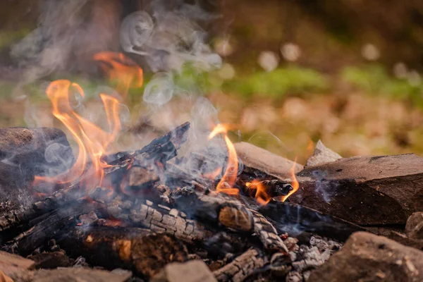 Dağ nehrinin kıyısında yakacak odun yangını