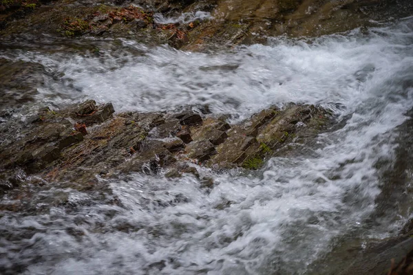 Bahar Dağı ormanında fırtınalı şelale