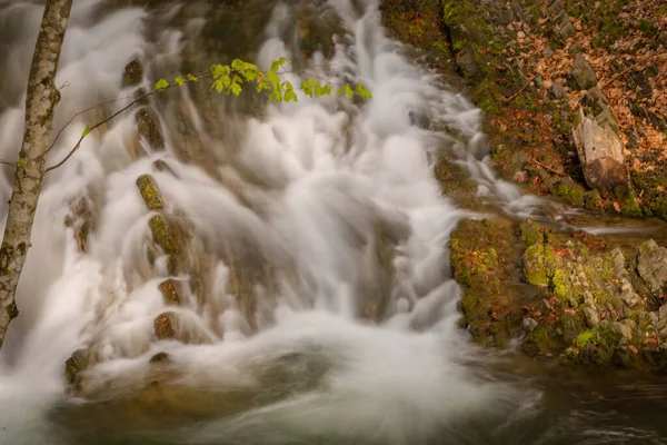 Cascata Tempestosa Nella Foresta Montagna Primaverile — Foto Stock