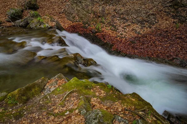 Cascade Orageuse Dans Forêt Montagne Printanière — Photo