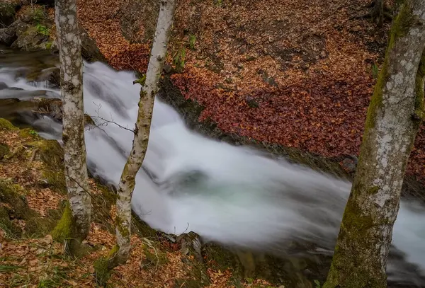 Bouřlivý Vodopád Jarním Horském Lese — Stock fotografie
