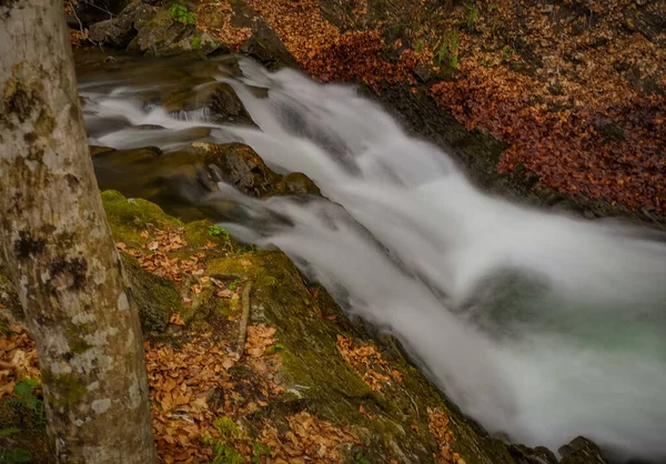 Cascata Tempestosa Nella Foresta Montagna Primaverile — Foto Stock