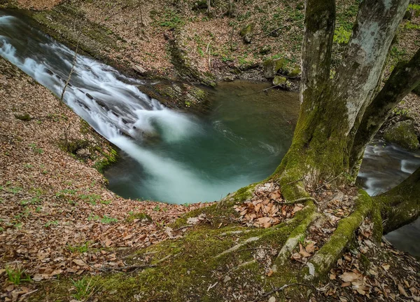 Cachoeira Tempestuosa Primavera Floresta Montanha — Fotografia de Stock