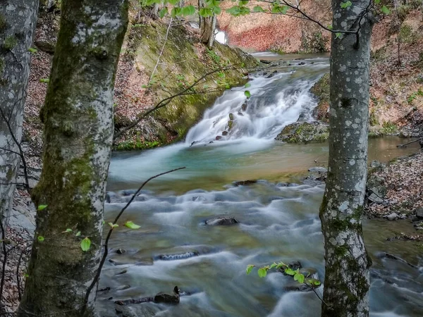 Viharos Vízesés Tavaszi Hegyi Erdőben — Stock Fotó