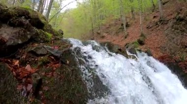 Bahar Dağı ormanında fırtınalı şelale