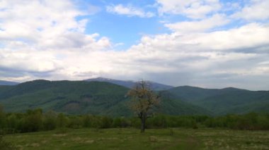 Karpatlar 'ın dağlık kırsal bir bölgesindeki ilkbahar manzarasının zamanlaması