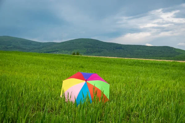 Umbrella Rainbow Colors Field New Harvest — Fotografia de Stock