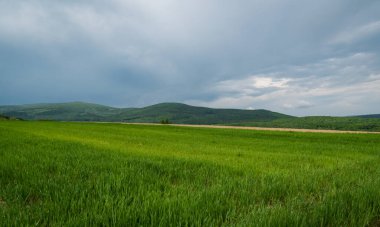 Kırsal dağ bölgesinde yeni tahıl hasadı