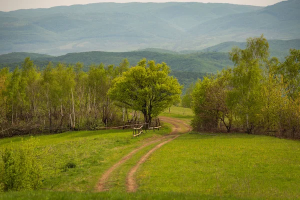 Spring Landscape Rural Highlands — Stockfoto