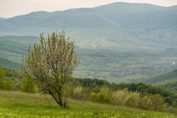 Kırsal dağların bahar manzarası