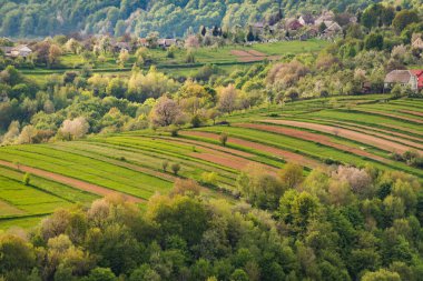 Teraslı tarlaları olan dağlık kırların bahar manzarası