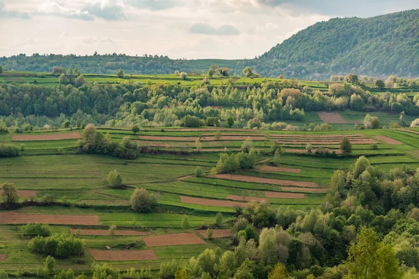 Spring Landscape Mountainous Countryside Terraced Fields — стоковое фото