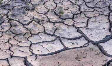 Dağlık bir nehrin kıyısındaki kuru çatlak toprak.