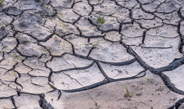 Droge Gebarsten Aarde Aan Oever Van Een Bergrivier Stockafbeelding