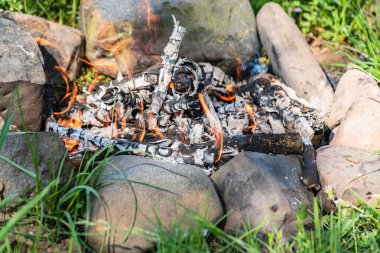 Etrafı doğa ile çevrili kamp ateşi olan bir manzara.