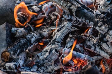 Landscape with campfire surrounded by nature