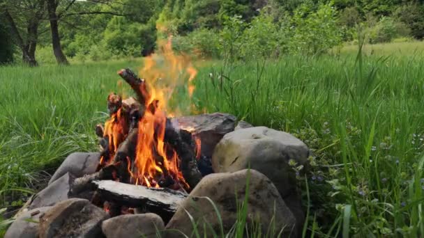 Landscape Campfire Surrounded Nature — Video