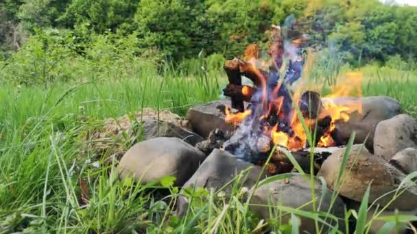 Landscape Campfire Surrounded Nature — Vídeos de Stock