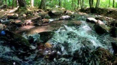 River in the spring mountain forest
