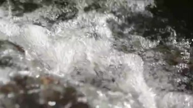 Bahar Ormanı 'ndaki nehir.