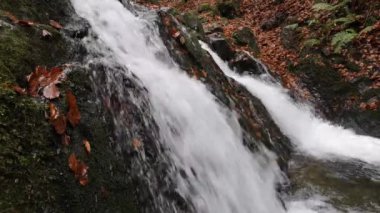 Bir sonbahar ormanında çağlayan bir şelale.