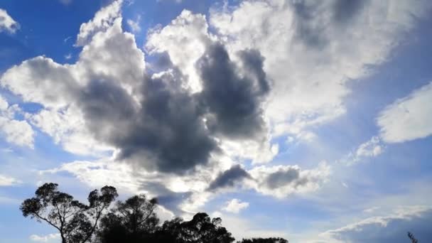 Timelapse Dziwnymi Chmurami Wiosennym Niebie — Wideo stockowe