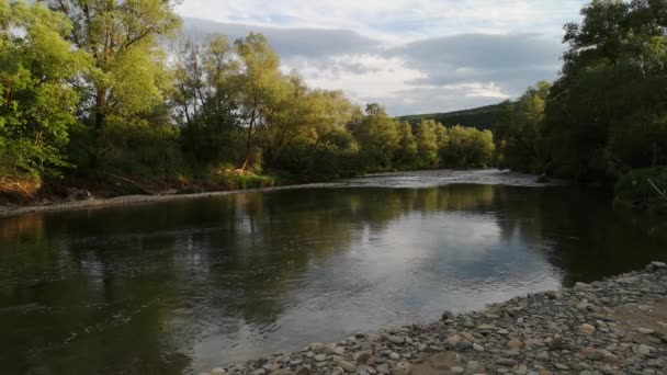 Ορεινός Ποταμός Ηλιόλουστη Μέρα Τοπίο — Αρχείο Βίντεο