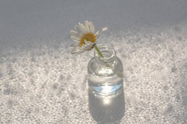 Şişeyle ve Nivyanik çiçek lökositleriyle hayat devam ediyor