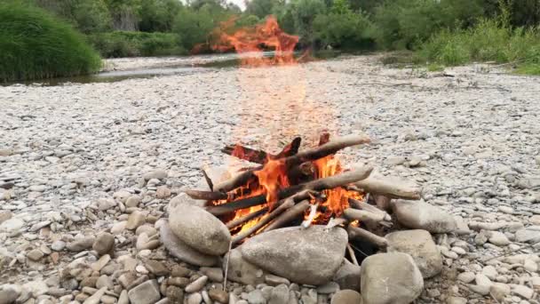 Akşam Nehrinin Kıyısında Şenlik Ateşi — Stok video