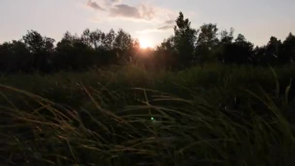 Χρόνος Τοπίου Λήξη Ενός Ποταμού Βουνού Στο Ηλιοβασίλεμα — Αρχείο Βίντεο