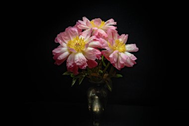 Karanlık bir arka planda vazoda mercan şakayıkları.