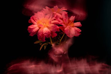 Işıkla özetlenmiş mercan şakayıkları.