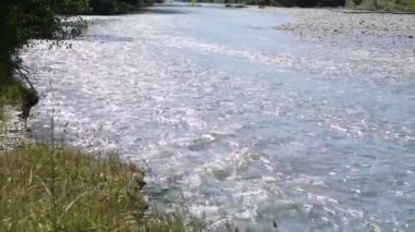 Bir dağ nehrinin yakınındaki yaz manzarası