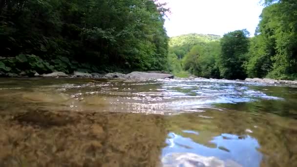 Landschap Van Zomer Berg Rivier — Stockvideo