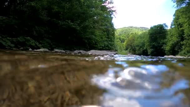 Landschaft Des Sommerlichen Gebirgsflusses — Stockvideo
