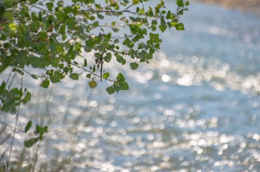 Yaz dağı nehrinin manzarası