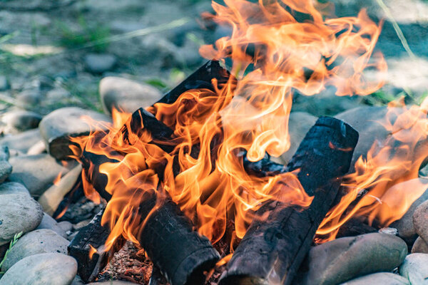 Костер на природе в ветреный летний день