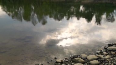 Yaz yağmuru sırasında bir dağ nehrinin manzarası