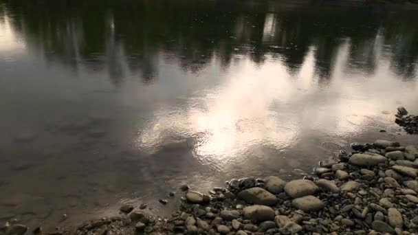 Yaz Yağmuru Sırasında Bir Dağ Nehrinin Manzarası — Stok video