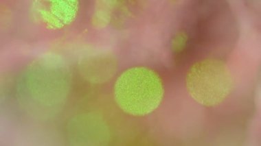 Bir Tragopogon çiçeğinin yakın plan arkaplanı