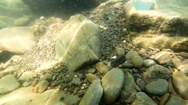 Pirámide Cristal Río Montaña Verano — Vídeo de stock