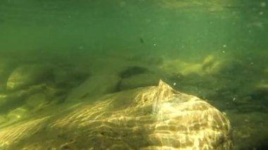 Yaz nehrinde kristal piramit