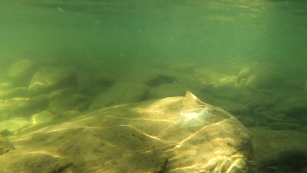 Pyramide Cristal Dans Une Rivière Montagne Été — Video