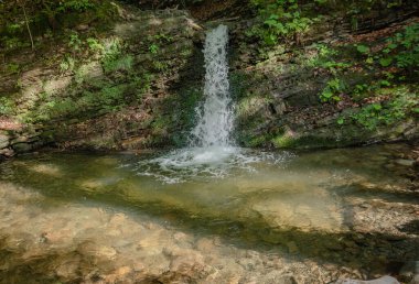 Yaz ormanlarında fırtınalı şelale