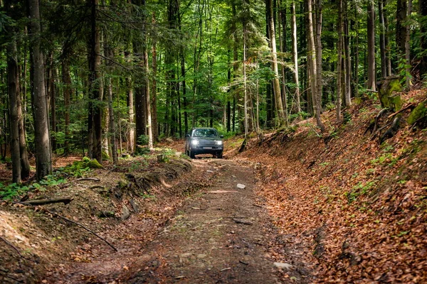 Suv Travels Mountain Forest — Stock Photo, Image