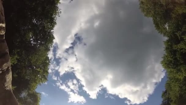 Underwater Scenery Mountain River Carpathians — Video