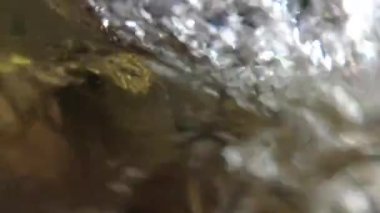 Underwater scenery of a mountain river in the Carpathians