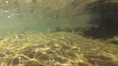 Underwater scenery of a mountain river in the Carpathians